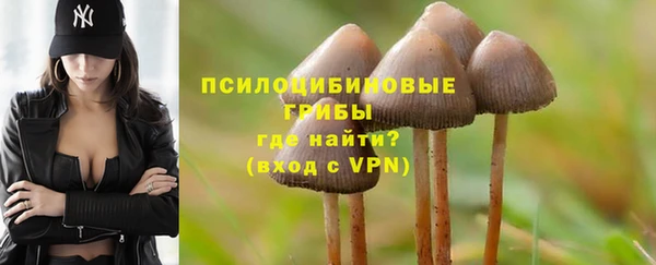 spice Балабаново